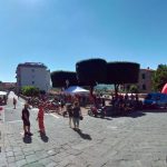 I video del 23° raduno